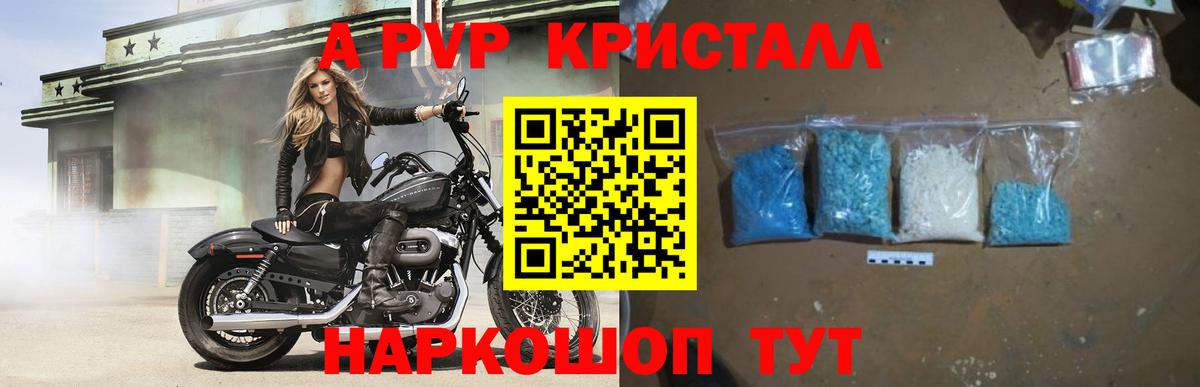 Alfa_PVP СК Мурманск