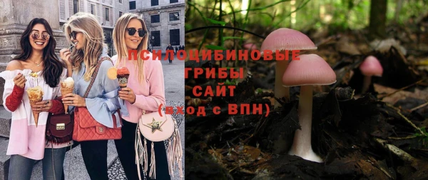 герыч Арсеньев