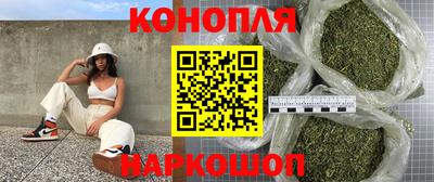 дмт Будённовск