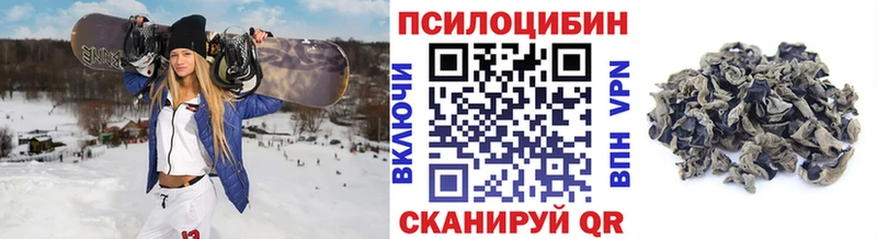 Псилоцибиновые грибы Psilocybine cubensis что такое Мурманск