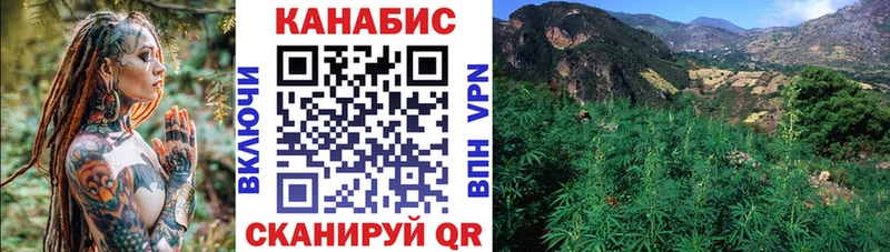 наркота Мурманск Шишки марихуана индика